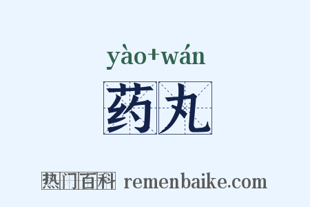 药丸是什么意思的图片